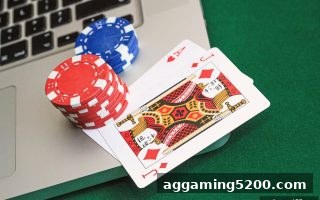 万博体育深度解析：牛牛与龙虎玩法全攻略，从入门到精通的实战指南