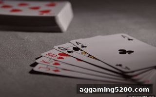 万博体育深度指南：多场桌游活动如何合规运营？——娱乐与竞技的合法边界全解析