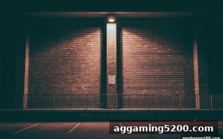 万博体育独家解密：免费旋转玩法的深层乐趣与实战技巧